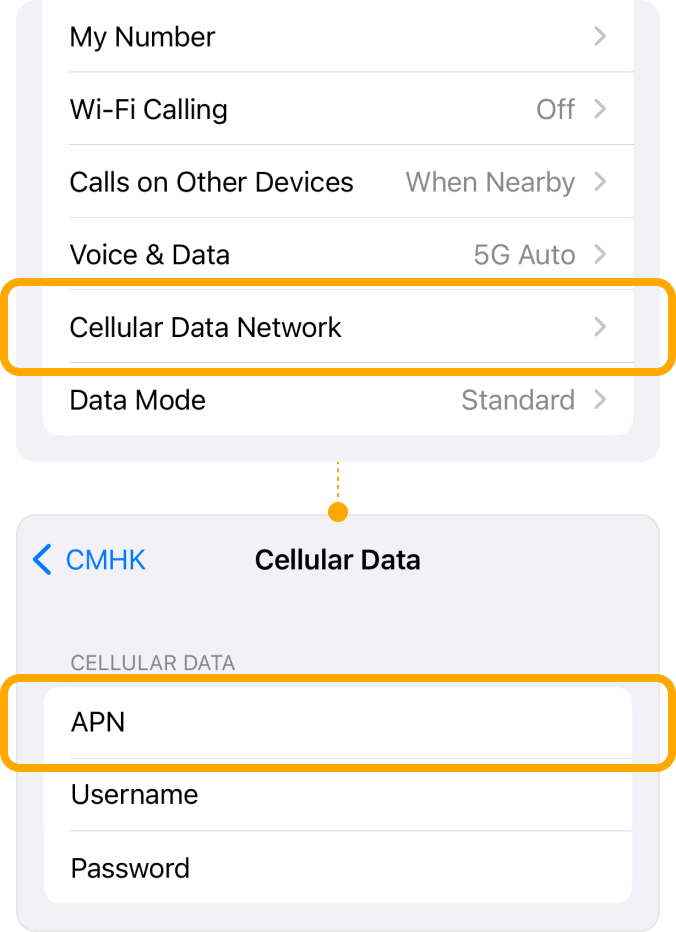 G_iOS_Access-Internet_02